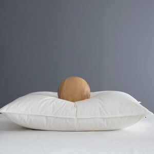 NWOT QUINCE Premium Down Alternative Pillow Medium Standard 3480